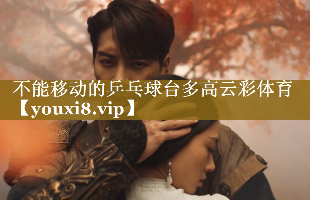 不能移动的乒乓球台多高云彩体育