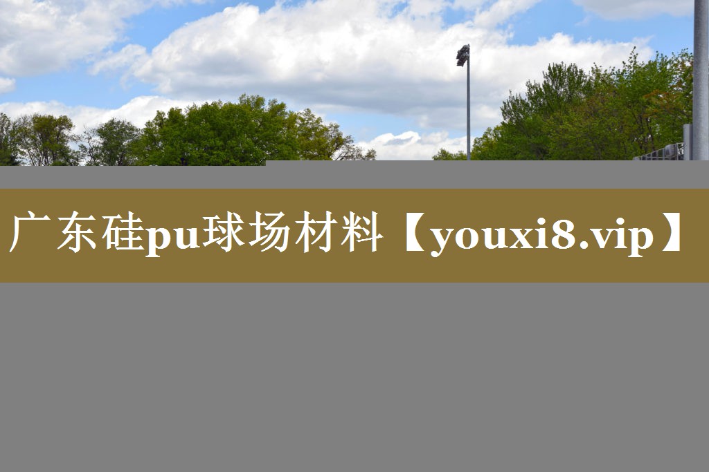 广东硅pu球场材料