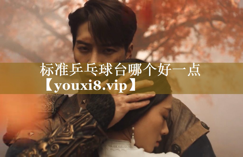 标准乒乓球台哪个好一点